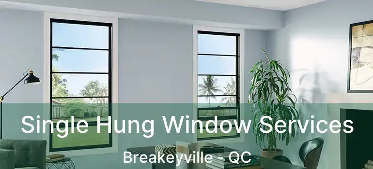  Single Hung Window Services Breakeyville - QC
