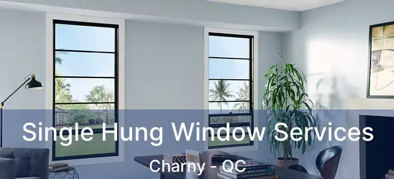  Single Hung Window Services Charny - QC