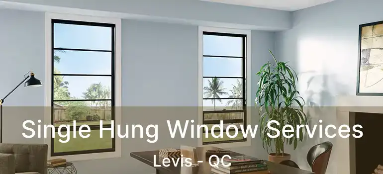  Single Hung Window Services Levis - QC