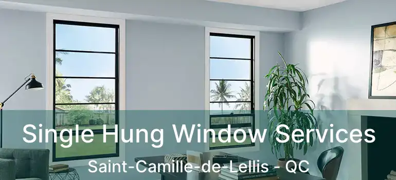  Single Hung Window Services Saint-Camille-de-Lellis - QC