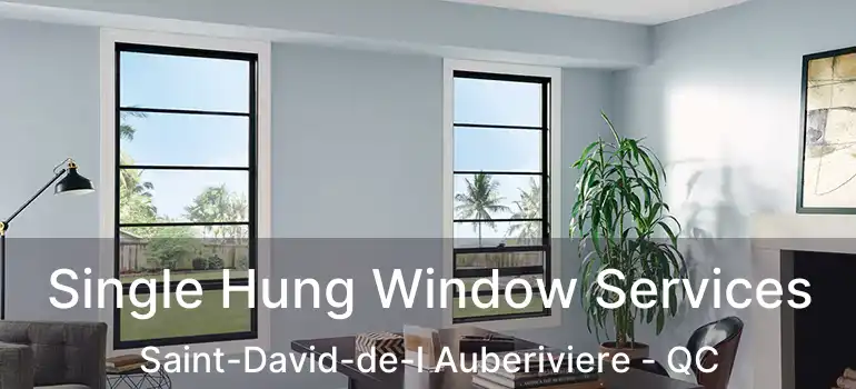  Single Hung Window Services Saint-David-de-l Auberiviere - QC
