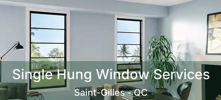  Single Hung Window Services Saint-Gilles - QC