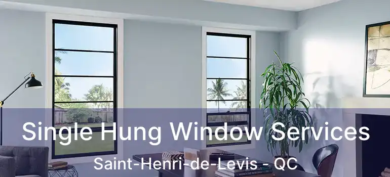  Single Hung Window Services Saint-Henri-de-Levis - QC