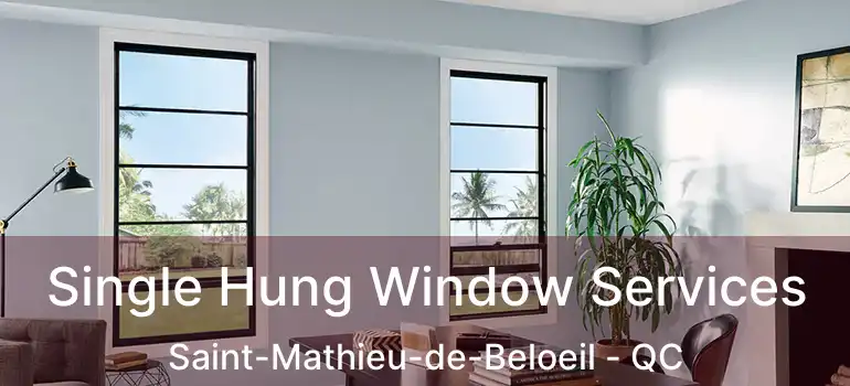 Single Hung Window Services Saint-Mathieu-de-Beloeil - QC