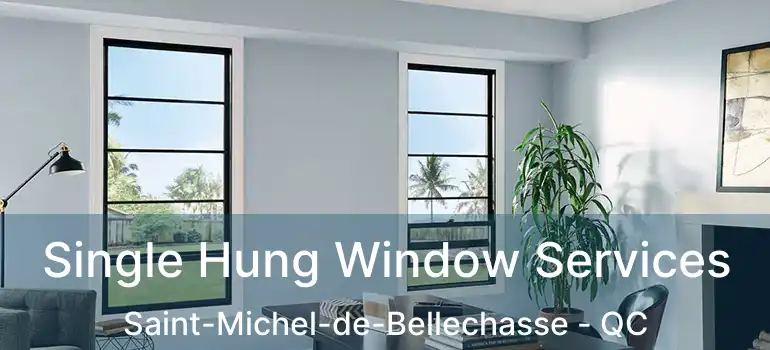  Single Hung Window Services Saint-Michel-de-Bellechasse - QC