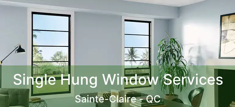  Single Hung Window Services Sainte-Claire - QC