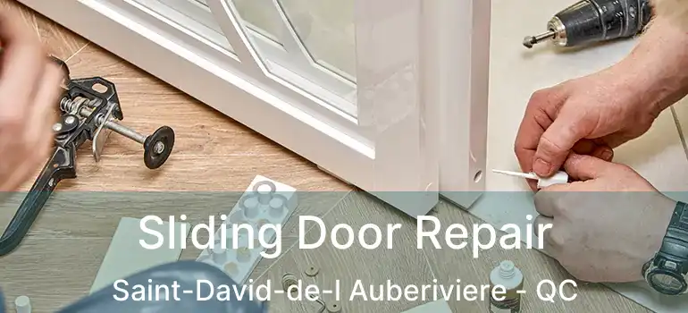  Sliding Door Repair Saint-David-de-l Auberiviere - QC