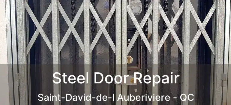  Steel Door Repair Saint-David-de-l Auberiviere - QC