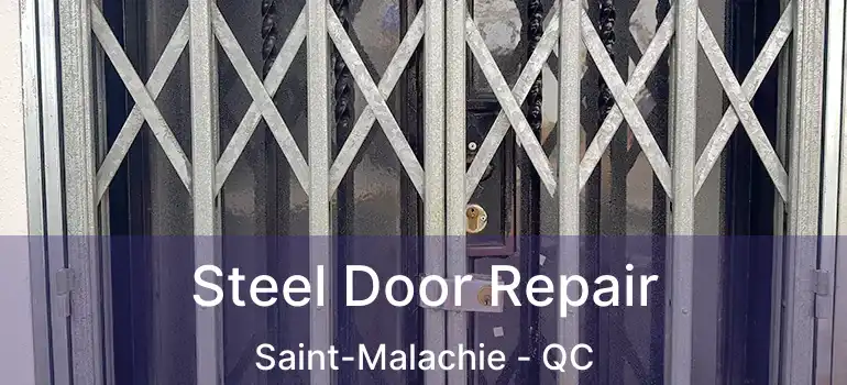  Steel Door Repair Saint-Malachie - QC