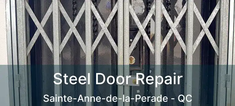  Steel Door Repair Sainte-Anne-de-la-Perade - QC