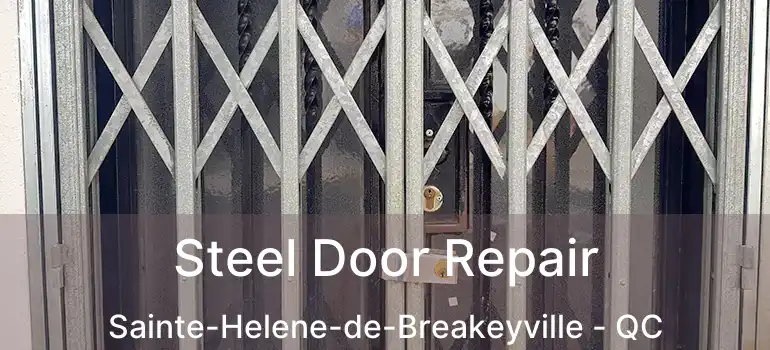  Steel Door Repair Sainte-Helene-de-Breakeyville - QC