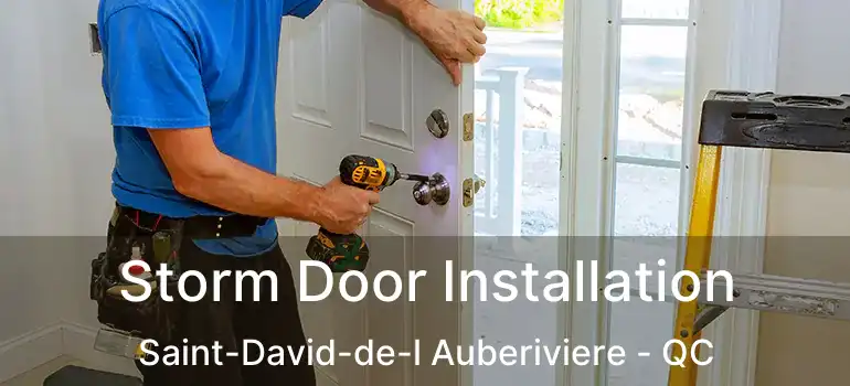  Storm Door Installation Saint-David-de-l Auberiviere - QC