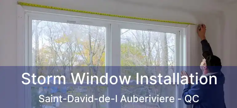  Storm Window Installation Saint-David-de-l Auberiviere - QC