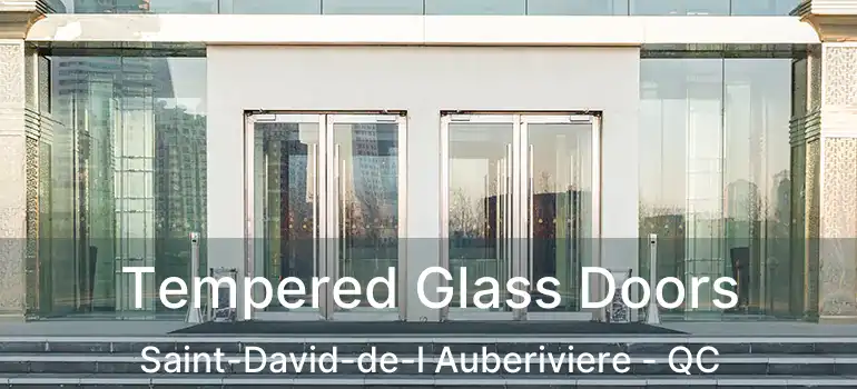  Tempered Glass Doors Saint-David-de-l Auberiviere - QC