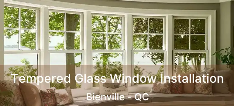  Tempered Glass Window Installation Bienville - QC