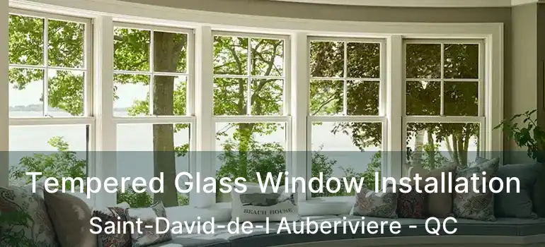  Tempered Glass Window Installation Saint-David-de-l Auberiviere - QC