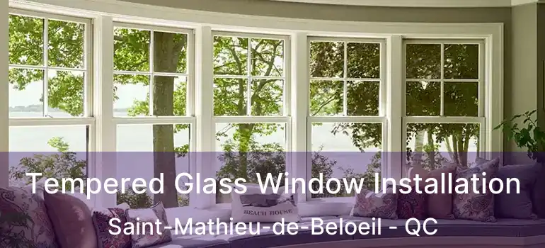  Tempered Glass Window Installation Saint-Mathieu-de-Beloeil - QC