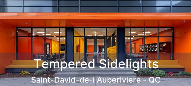  Tempered Sidelights Saint-David-de-l Auberiviere - QC