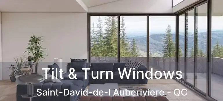 Tilt & Turn Windows Saint-David-de-l Auberiviere - QC