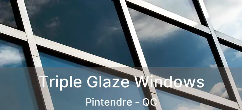  Triple Glaze Windows Pintendre - QC