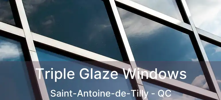 Triple Glaze Windows Saint-Antoine-de-Tilly - QC