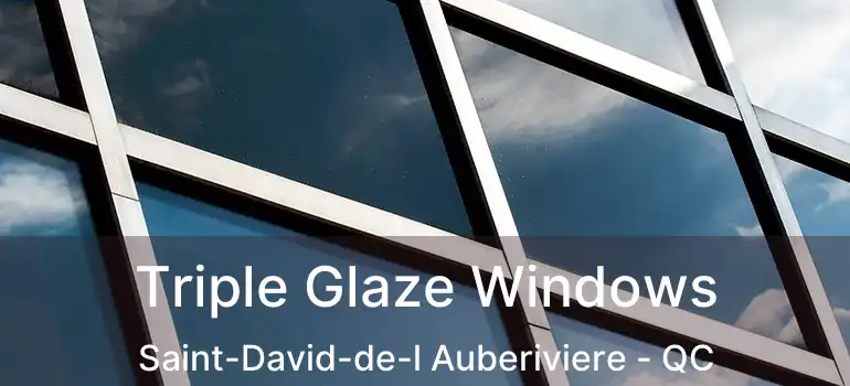  Triple Glaze Windows Saint-David-de-l Auberiviere - QC