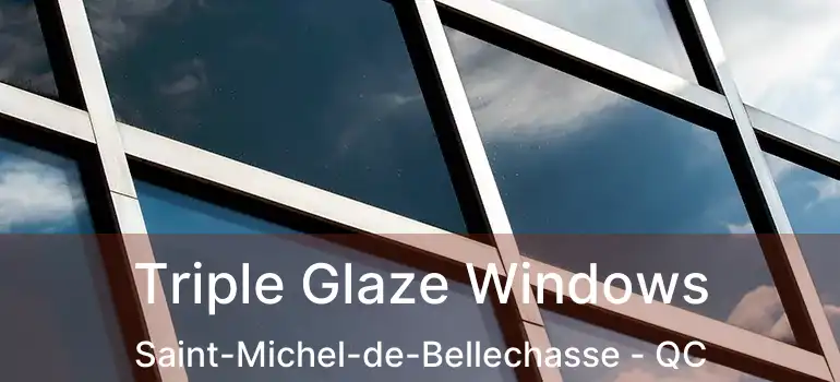  Triple Glaze Windows Saint-Michel-de-Bellechasse - QC
