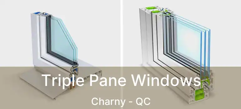  Triple Pane Windows Charny - QC