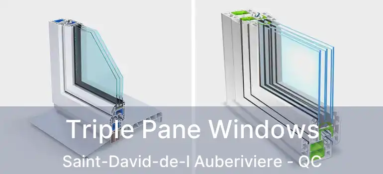  Triple Pane Windows Saint-David-de-l Auberiviere - QC