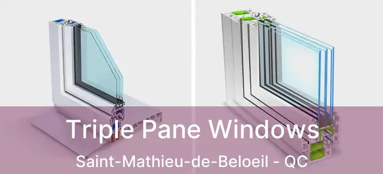  Triple Pane Windows Saint-Mathieu-de-Beloeil - QC