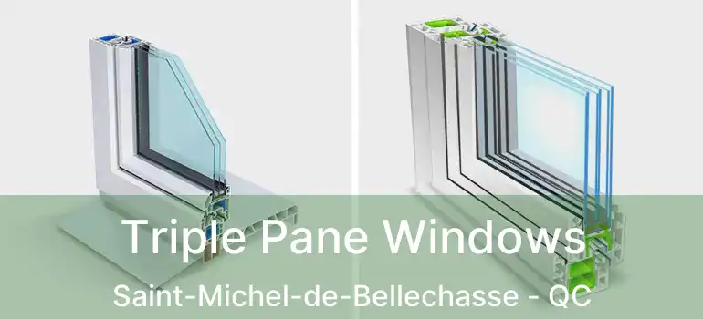  Triple Pane Windows Saint-Michel-de-Bellechasse - QC