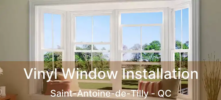  Vinyl Window Installation Saint-Antoine-de-Tilly - QC