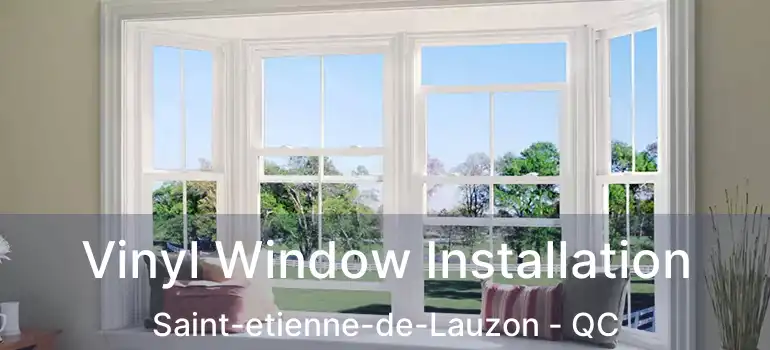  Vinyl Window Installation Saint-etienne-de-Lauzon - QC