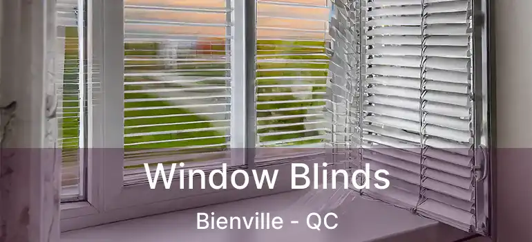  Window Blinds Bienville - QC
