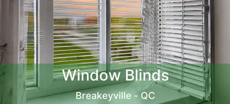  Window Blinds Breakeyville - QC