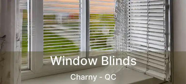  Window Blinds Charny - QC
