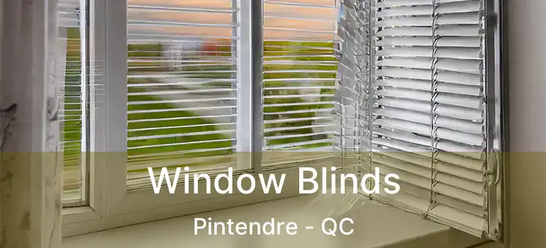  Window Blinds Pintendre - QC