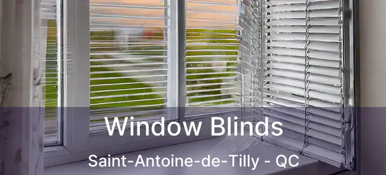  Window Blinds Saint-Antoine-de-Tilly - QC