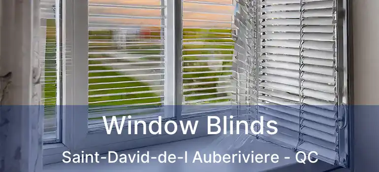  Window Blinds Saint-David-de-l Auberiviere - QC