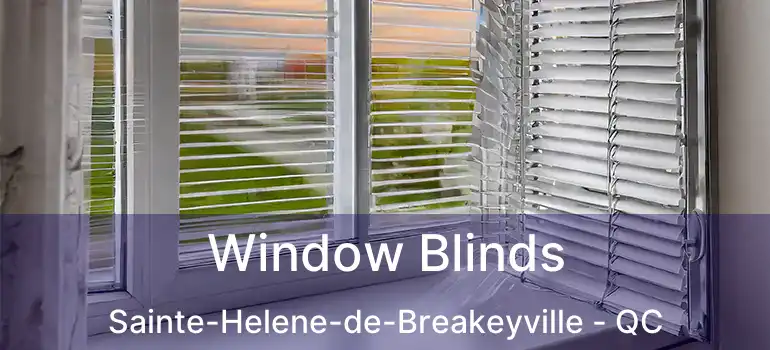  Window Blinds Sainte-Helene-de-Breakeyville - QC