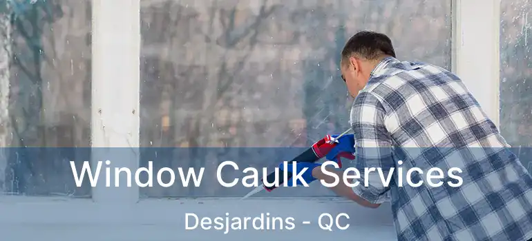  Window Caulk Services Desjardins - QC