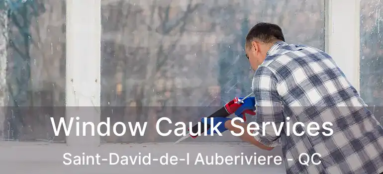  Window Caulk Services Saint-David-de-l Auberiviere - QC