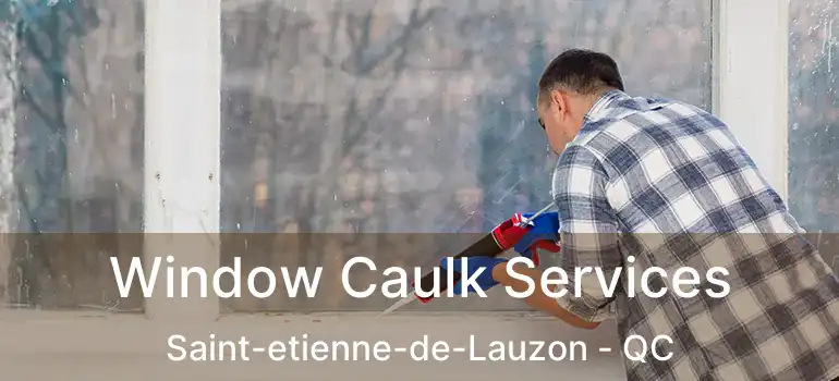  Window Caulk Services Saint-etienne-de-Lauzon - QC