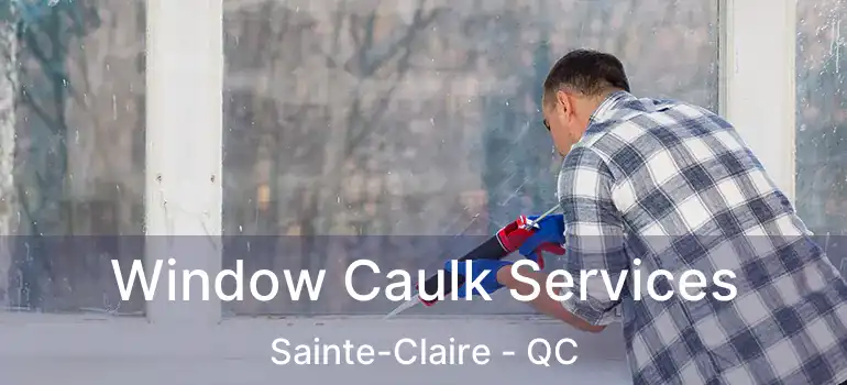  Window Caulk Services Sainte-Claire - QC