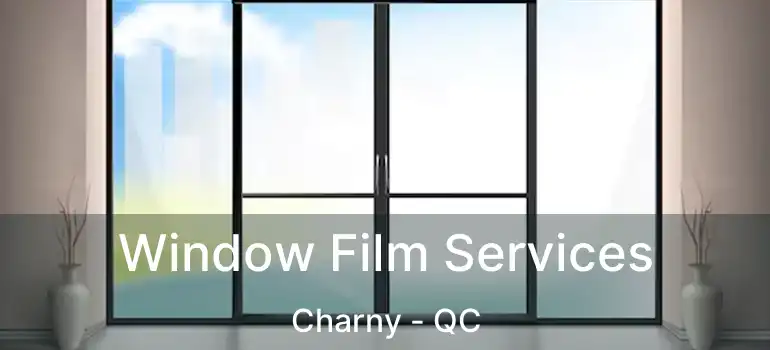  Window Film Services Charny - QC