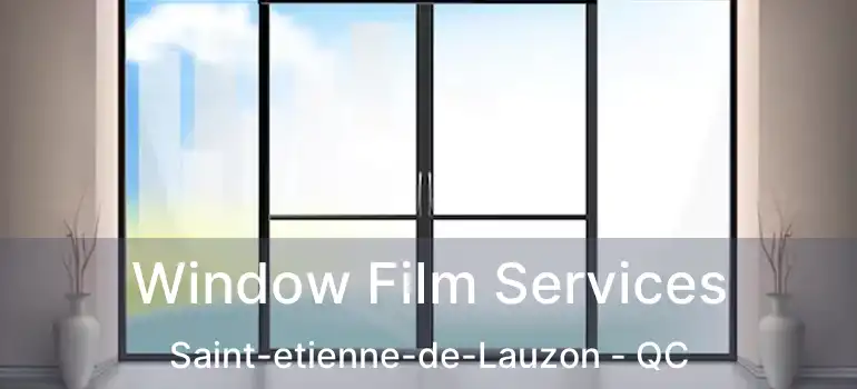  Window Film Services Saint-etienne-de-Lauzon - QC