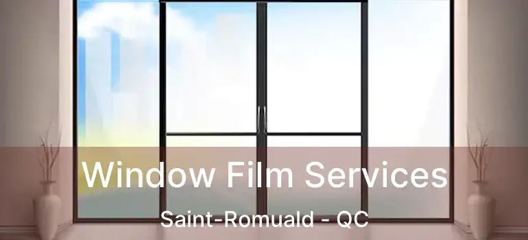  Window Film Services Saint-Romuald - QC