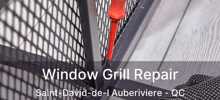  Window Grill Repair Saint-David-de-l Auberiviere - QC