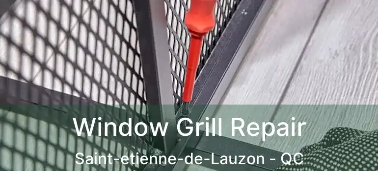  Window Grill Repair Saint-etienne-de-Lauzon - QC