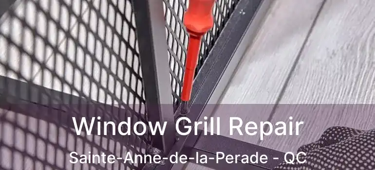  Window Grill Repair Sainte-Anne-de-la-Perade - QC